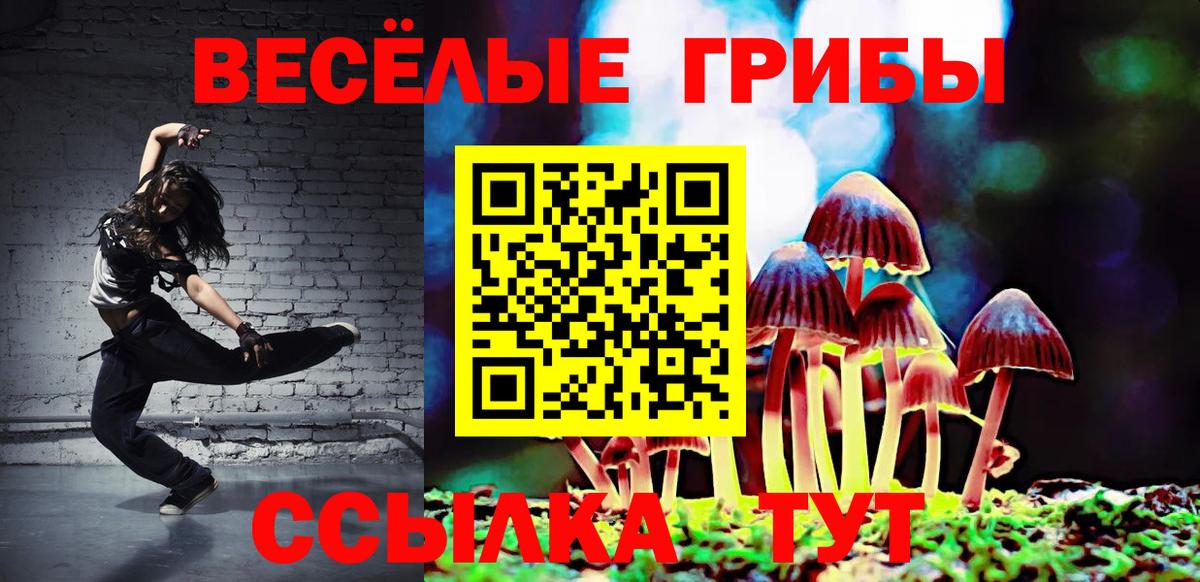 Галлюциногенные грибы MAGIC MUSHROOMS  Вход с VPN  Советск 